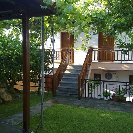 Hotel Alexandra Nea Roda Zewnętrze zdjęcie