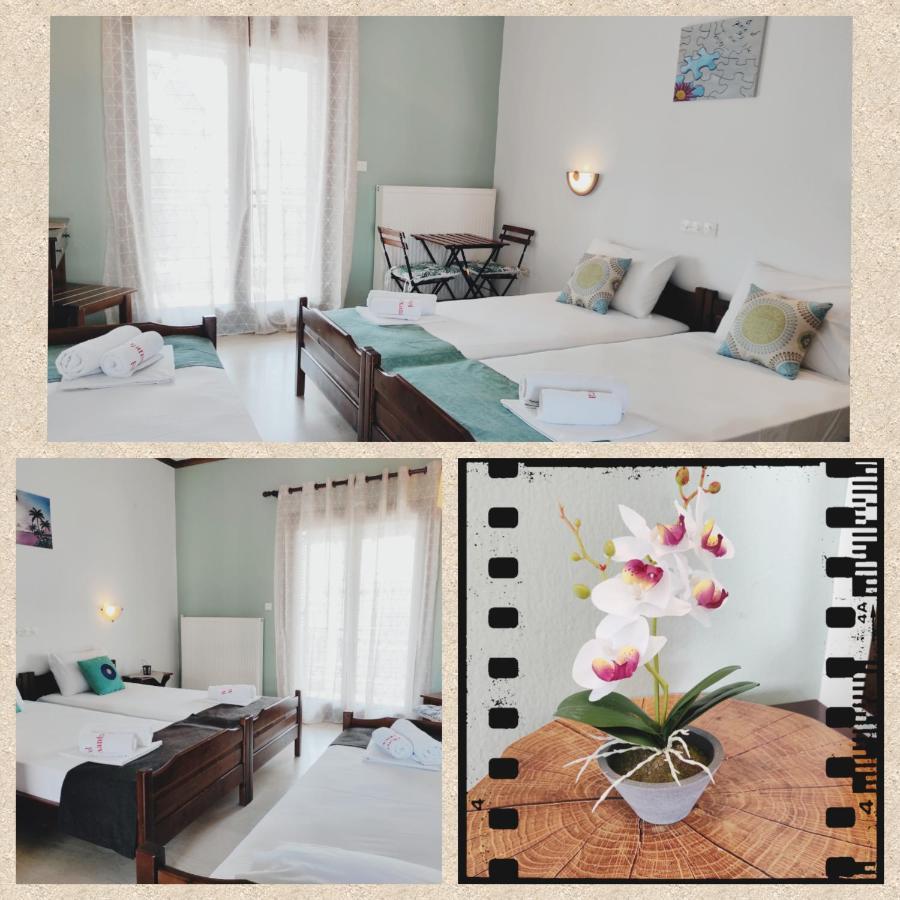 Hotel Alexandra Nea Roda Zewnętrze zdjęcie
