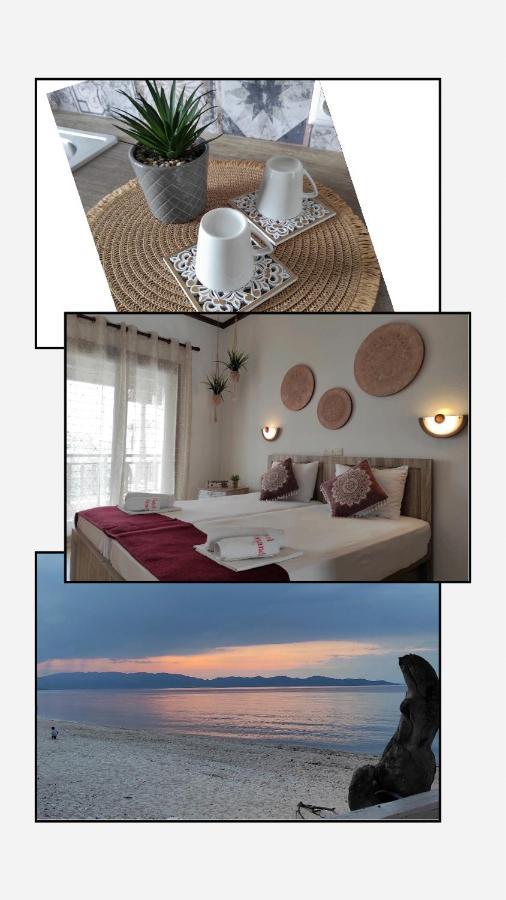 Hotel Alexandra Nea Roda Zewnętrze zdjęcie